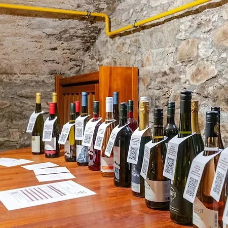 Сasa de vacaciones Townhaus-rhens 8 Schlafzimmer, Sauna, Weinkeller, Fotostudio, Hunde Willkommen