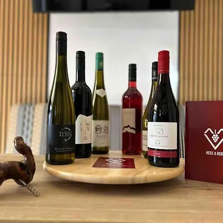 Townhaus-rhens 8 Schlafzimmer, Sauna, Weinkeller, Fotostudio, Hunde Willkommen Сasa de vacaciones *