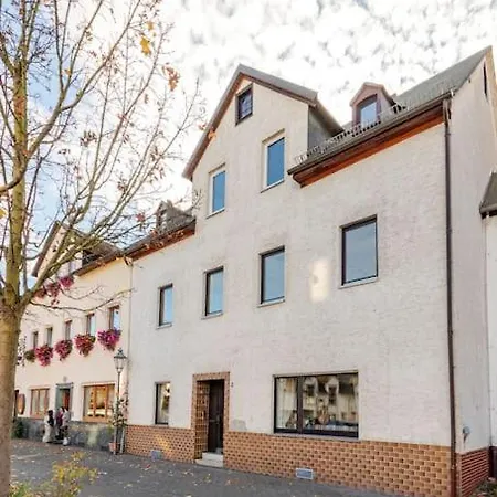 Townhaus-rhens 8 Schlafzimmer, Sauna, Weinkeller, Fotostudio, Hunde Willkommen * Rhens