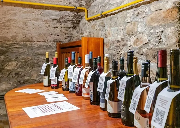 Holiday home Townhaus-rhens 8 Schlafzimmer, Sauna, Weinkeller, Fotostudio, Hunde Willkommen