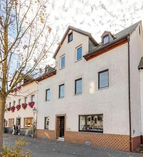 Townhaus-rhens 8 Schlafzimmer, Sauna, Weinkeller, Fotostudio, Hunde Willkommen * Rhens